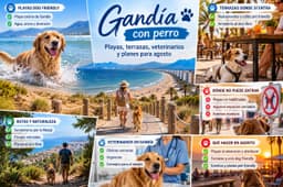 Gandía mit Hund